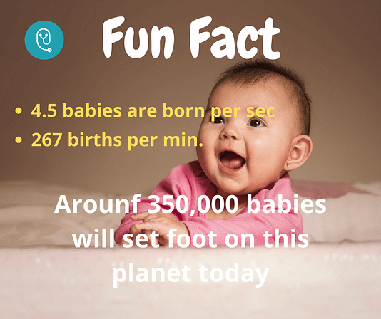 fun fact about pregnancy