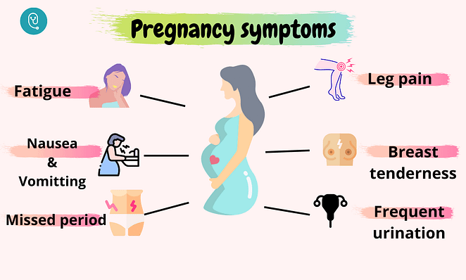 Pregnancy symptoms infographic