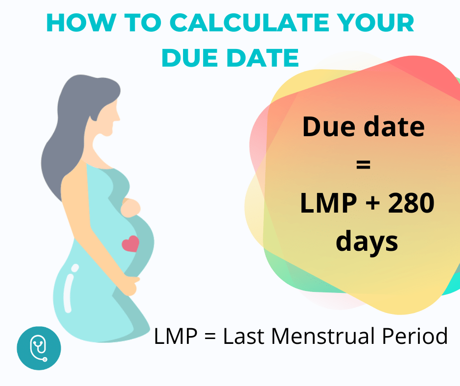 pregnancy due date calculator